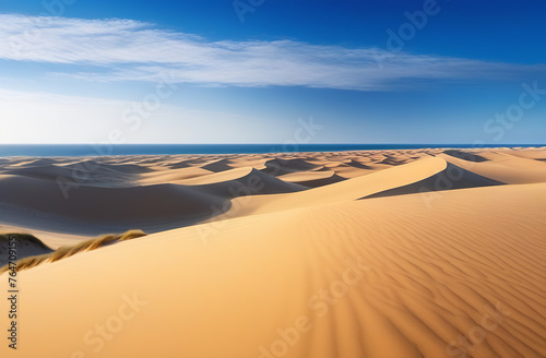 Relief sand dunes on the background of the ocean. Panoramic view of the desert and the sea