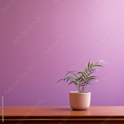 Potted plant on table in front of mauve wall, in the style of minimalist backgrounds, exotic