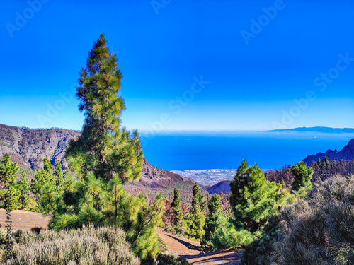 View of the valley with green pine trees, blue ocean and the town of Guimar. Mirador de la Crucita viewpoint, El Teide National Park, Tenerife, Canary Islands, Spain photo