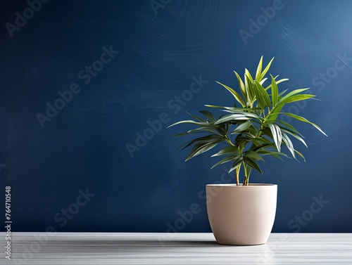 Potted plant on table in front of navy blue wall, in the style of minimalist backgrounds, exotic