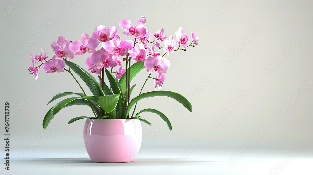  potted orchid with delicate, cascading flowers, a symbol of elegance, isolated on a bright background.