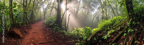 Hiking trail in the tropical forest. Panoramic image. Banner.