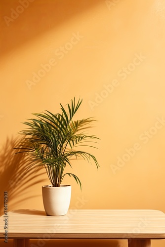 Potted plant on table in front of tan wall, in the style of minimalist backgrounds, exotic, tan and beige