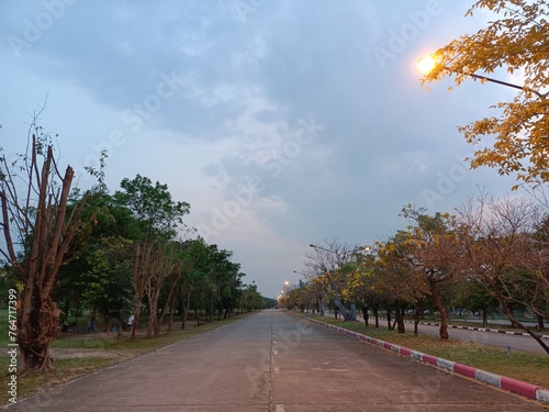 road in the park