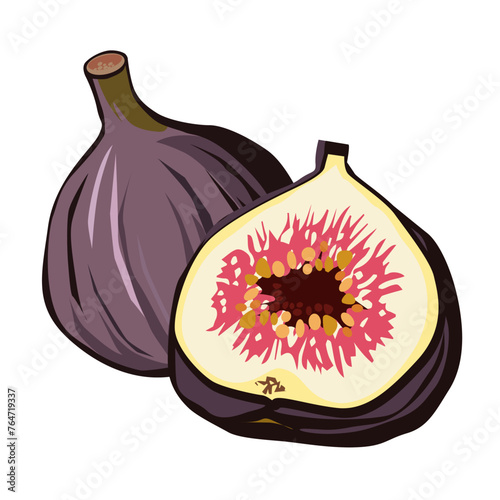 Healthy purple fig with half on white background. Isolated vector summer fruit in flat style.