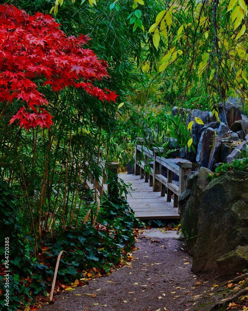 Japanischer Garten