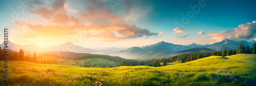Meadow Sunrise scenic panorama with a sun-kissed meadow, showcasing the beauty of morning light.