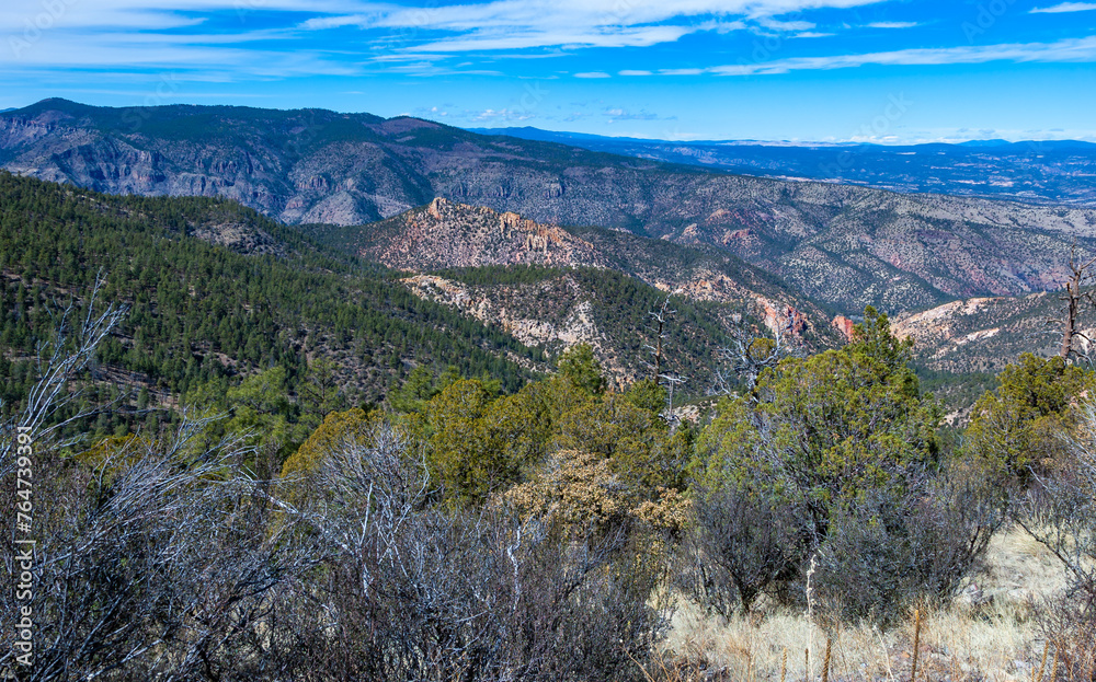 Scenic View of a dry mountainous area covered with isolated conifers, cacti and drought-resistant vegetation, New Mexico