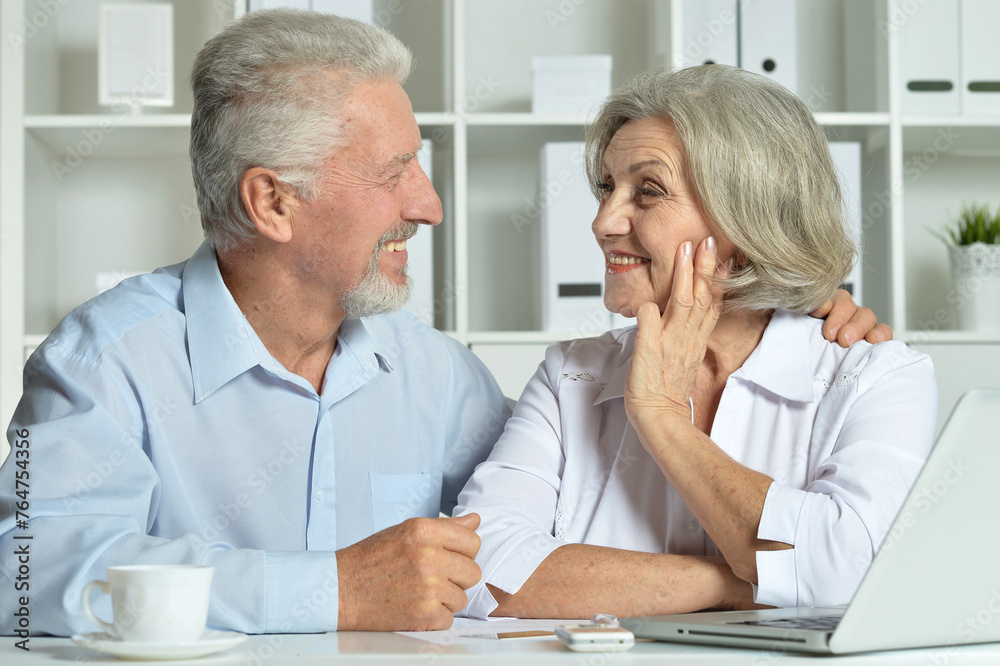 Fototapeta premium Portrait of happy senior couple with laptop 