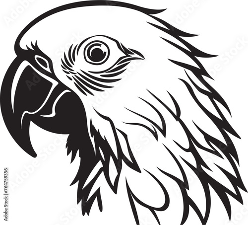 Midnight Mystery Mysterious Mask Vector Noir Nostalgia Shadowed Masquerade Concept