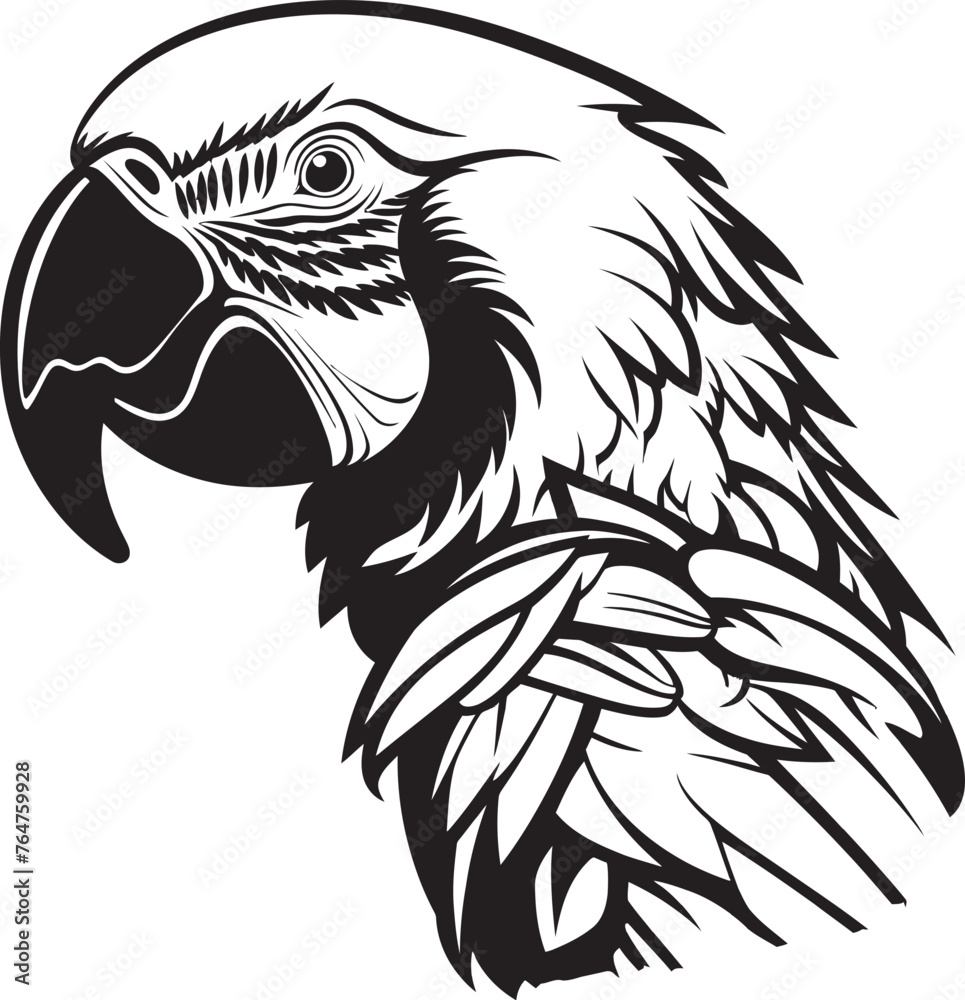 Midnight Mystery Elegant Silhouette Mask Concept Mystic Mirage Mysterious Masquerade Ball Vector Midnight Mystery Elegant Silhouette Mask Concept Mystic Mirage Mysterious Masquerade Ball Vector