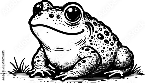 Twinkle Toad Cartoon icon 10