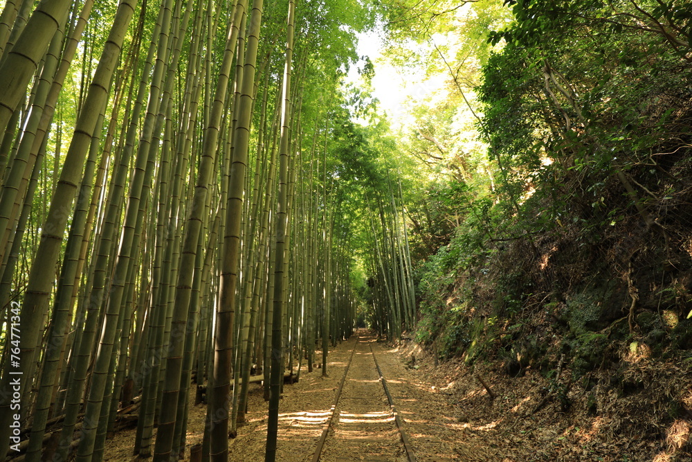 Fototapeta premium 倉吉廃線跡