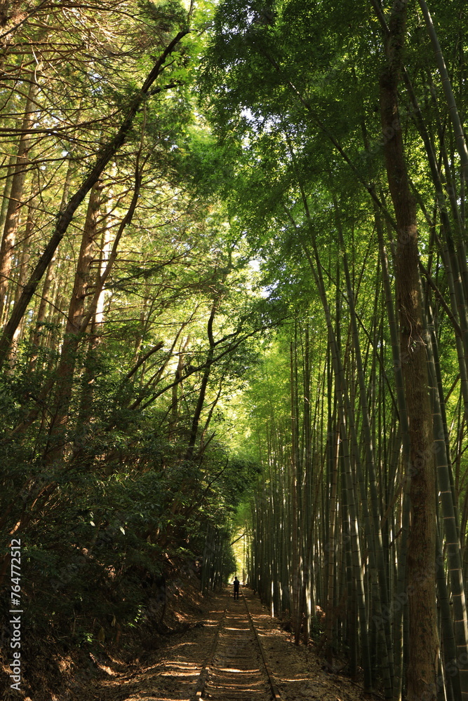 Obraz premium 倉吉廃線跡