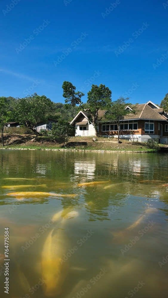 Beautiful house design with koi fish in the pond at E-Tong village.