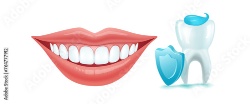 Dental anatomy and physiology. Brightening and whitening of teeth. Types of teeth cross section. Dental clinic and dental health vector illustration. Structure of human tooth alignment.