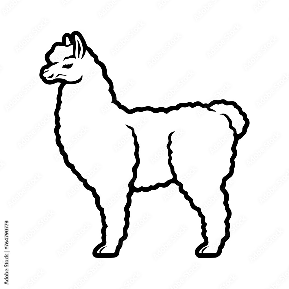 Fototapeta premium Outline drawing of an animal lama on a white background.