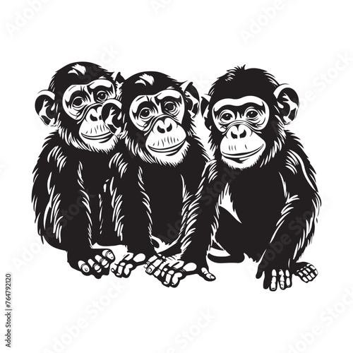 Troop Of Monkeys Images  Vector