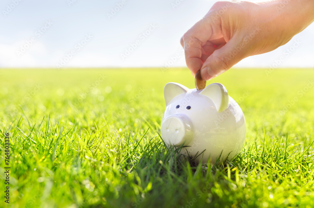 Saving money in white piggy bank, savings, accounting, banking and business account or sustainable finance