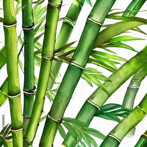 bamboo forest background