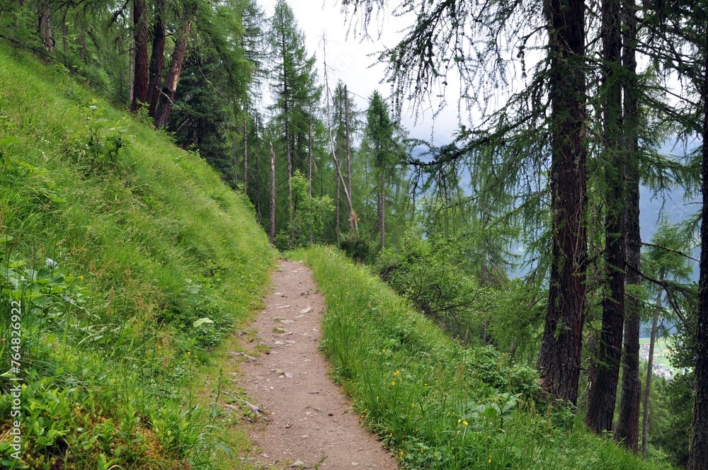 Fototapeta premium Auf dem Elfer im Stubaital