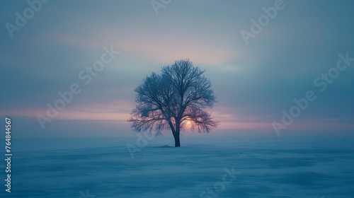 A lone tree with the sunset on a blue snow covered field, ethereal nature scenes