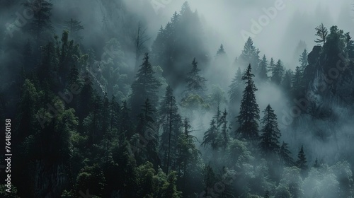 Misty forest in the mountains. © MiaStendal