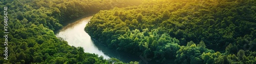 Aerial view of forest with river. Panoramic summer landscape concept. Beauty of nature. Design for wallpaper  banner