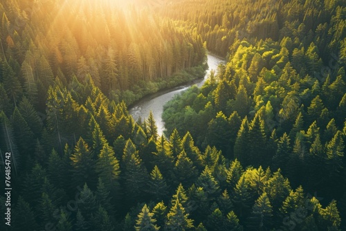 Aerial view of forest with river. Summer landscape concept. Beauty of nature. Design for wallpaper, banner