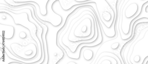 3d render, abstract white paper background. Paper cut vector art background banner texture. multi layer cutout geometric pattern on vector, Abstract soft white background with waves.