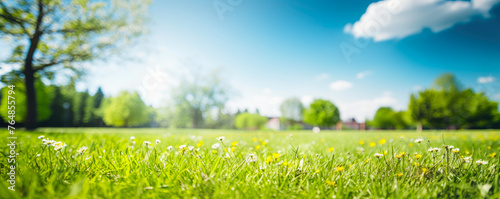 Blurred spring nature background with a green lawn surrounded by trees against a blue sky with clouds on a bright sunny day