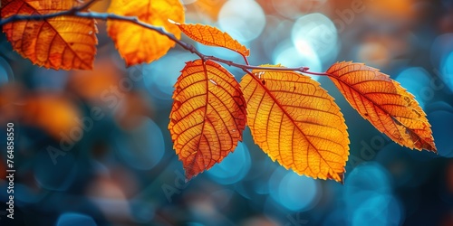 autumn foliage leaves with light flare, abstract background, Generative Ai 