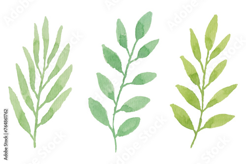 Assortment of watercolor leaves illustration set - green leaf branches collection for wedding, greetings, stationary, wallpapers, fashion, background. olive, green leaves, Eucalyptus etc 