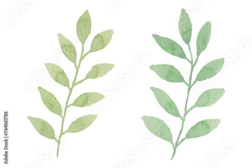 Assortment of watercolor leaves illustration set - green leaf branches collection for wedding, greetings, stationary, wallpapers, fashion, background. olive, green leaves, Eucalyptus etc	