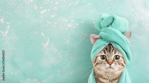 A tabby cat with striking eyes wrapped in a green towel with turban set against a teal background with snow effect photo