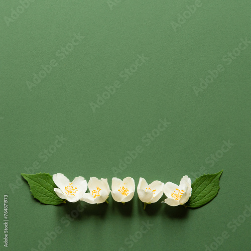 White jasmine flowers on green background. Square. Wedding invitation, Birthday, Mother's day. Natural cosmetic, herbal tea. Flat lay, top view, copy space. Flowers composition.