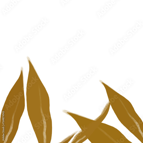 illustration of a leaf