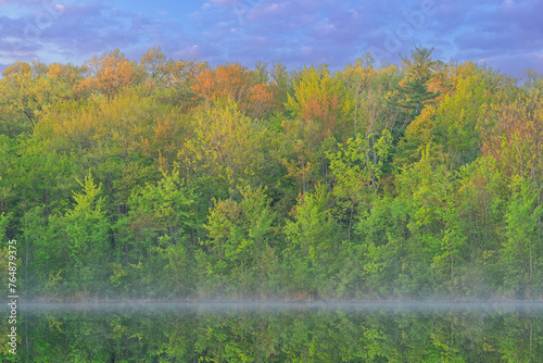 Wallpaper Mural Spring landscape at dawn of the shoreline of  Long Lake with fog and with mirrored reflections in calm water, Yankee Springs State Park, Michigan, USA Torontodigital.ca