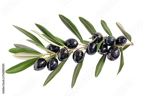 Fresh black olives on branch with green leaves  isolated on transparent background	