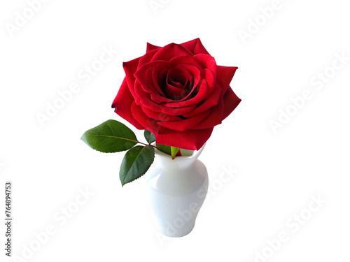 Red rose in vase isolated on transparent background.