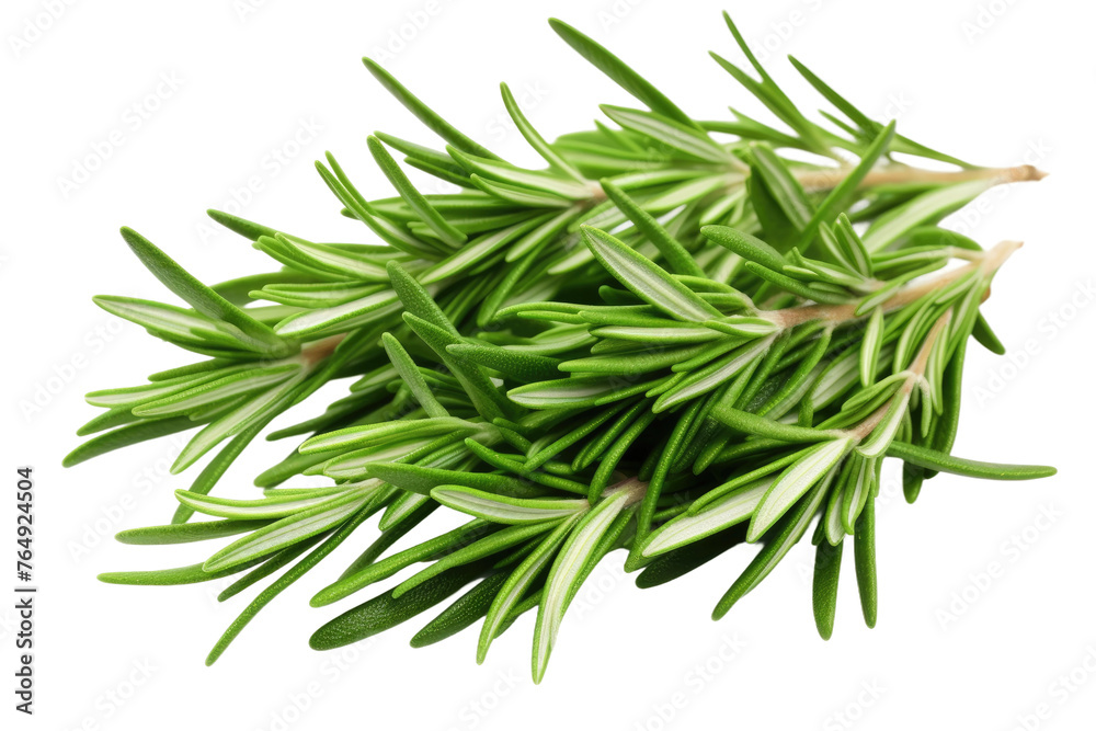 Verdant Symphony: A Lush Dance of Green Leaves. Verdant Symphony: A Lush Dance of Green Leaves.