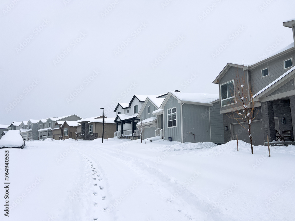 Snow-Enveloped Homes on a Quiet Suburban Street