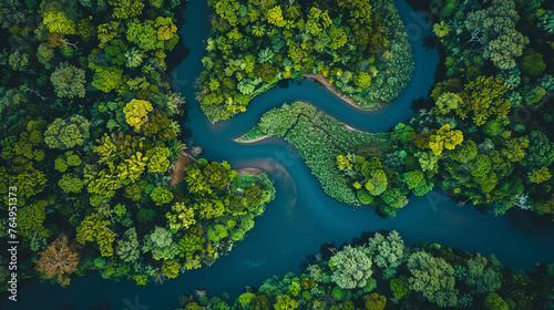 Aerial view of a winding river through a lush forest, capturing the natural beauty and scale from above, vibrant colors, clear day, showcasing the unique perspective of drone photography