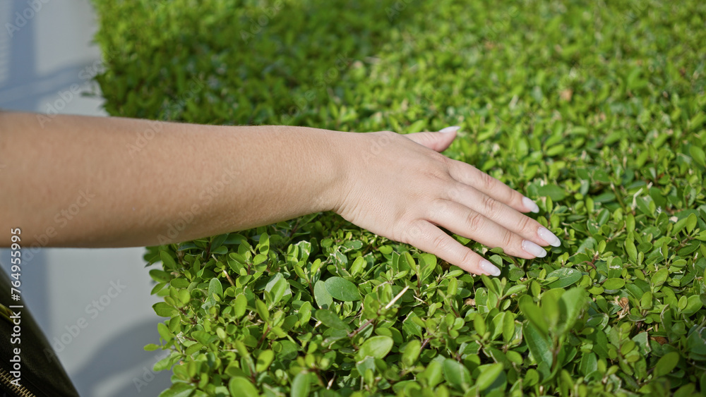 Adult hispanic woman touches green shrub in a sunny outdoor park setting, demonstrating interaction with nature.