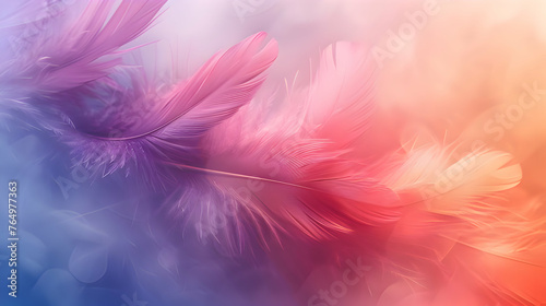 Colorful Feather Close Up on Blurry Background