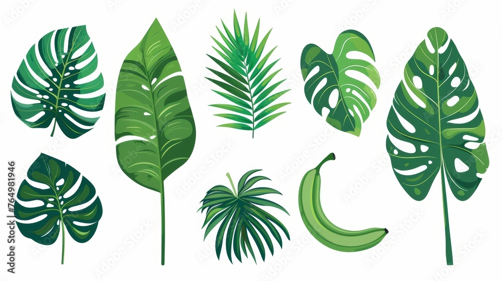 Natural eco design elements. Tropical foliage plants, palm, monstera, banana. Tropical leaf set. Flat graphic modern illustration isolated on white.