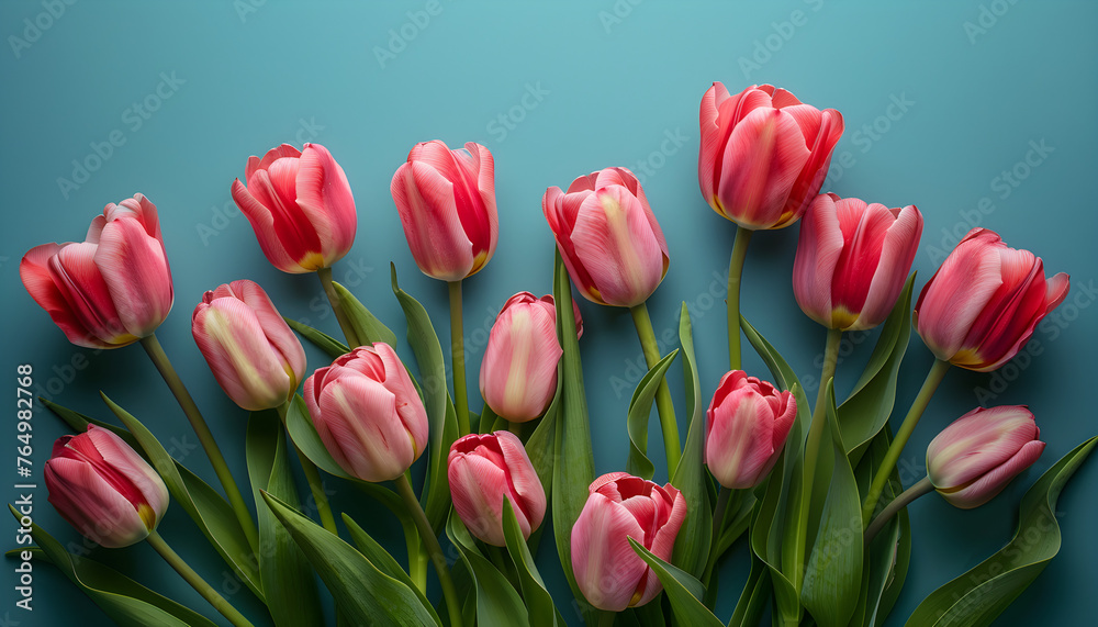 Bouquet of pink tulips on pastel blue background for Valentine's Day, Easter, Women's Day, or Mother's Day Bouquet of pink tulips on pastel blue background for Valentine's Day, Easter, Women's Day, or Mother's Day
