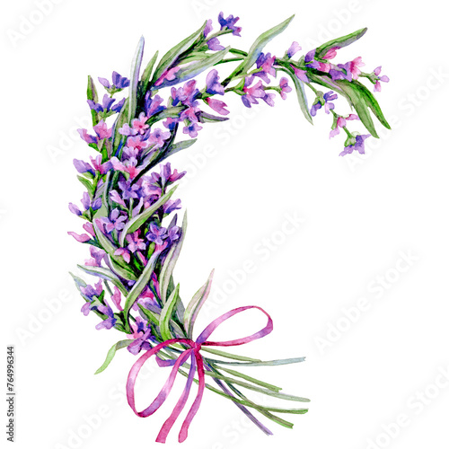 Watercolour vignette of lavender branch with flowers and leaves drawn by hand