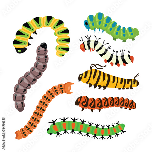 Set of Bright Caterpillars as Larval Stage of Insect Crawling and Creeping Vector Set, Worm larva insects butterfly cute caterpillar, swallowtail caterpillar isolated on white background. 