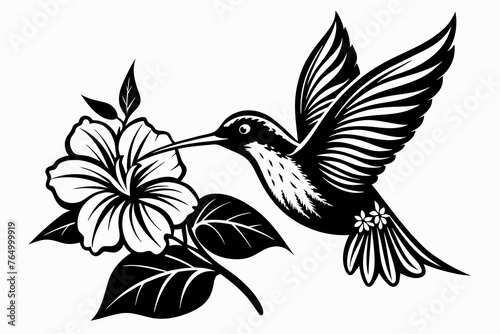 hummingbird and hibiscus, vector, simple, black and white